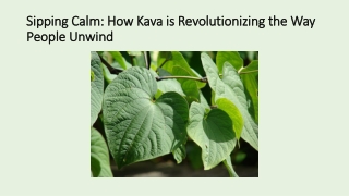 sipping calm how kava is revolutionizing the way people unwind