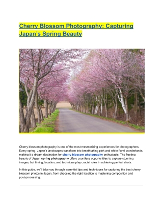 https://thelensindia.com/cherry-blossom-photography-japan-spring/