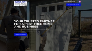 Best Termite Treatment Near Mt Pleasant, SC