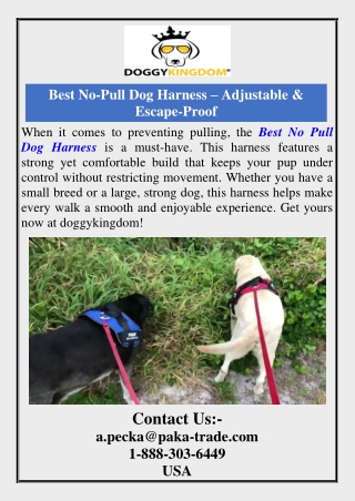 Best No-Pull Dog Harness – Adjustable & Escape-Proof
