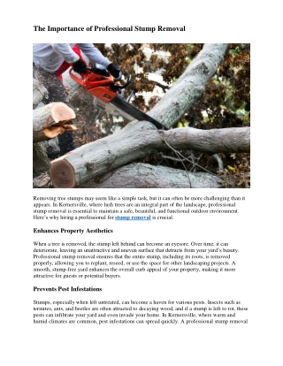 The Importance of Professional Stump Removal