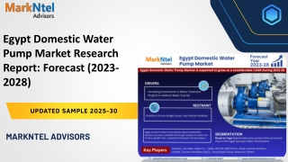 Egypt Domestic Water Pump Market Research Report: Forecast (2023-2028)