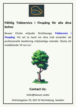 p litlig tr dservice i finsp ng f r alla dina