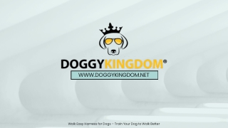Walk Easy Harness for Dogs – Train Your Dog to Walk Better