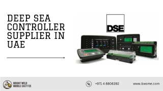 Deep Sea controller supplier in uae