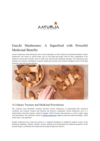Gucchi Mushrooms_ A Superfood with Powerful Medicinal Benefits - Aayurja