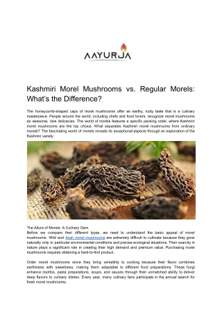 kashmiri morel mushrooms