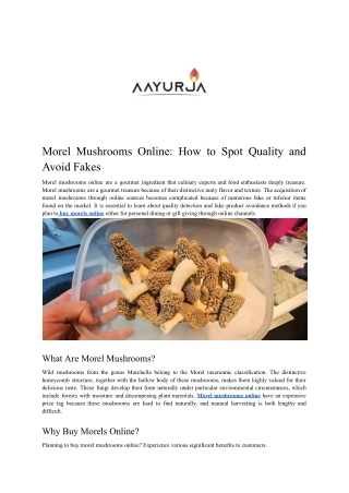 Morel Mushrooms Online_ How to Spot Quality and Avoid Fakes - Aayurja