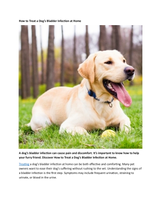 How to Treat a Dog