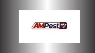 Eliminate Infestations with Expert Pest Control in Suffolk County