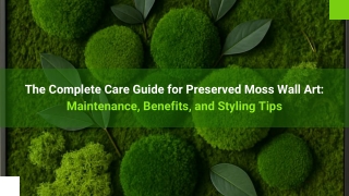 The Complete Care Guide for Preserved Moss Wall Art Maintenance, Benefits, and Styling Tips