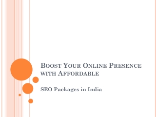 seo package in india
