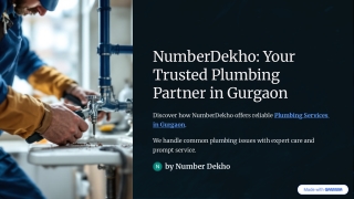 Drip-Free Living: Top Plumber Services in Gurgaon for Quick and Clean Fixes