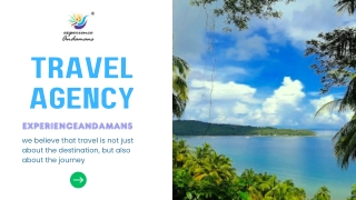 Best scuba diving packages in andaman