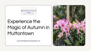 Experience the Magic of Autumn in Muttontown