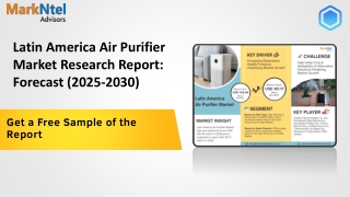 Latin America Air Purifier Market Competitive Landscape and Future Outlook 2027