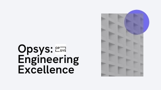 opsys engineering excellence