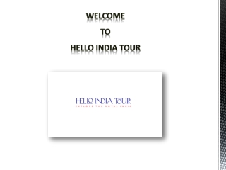 Wildlife tour packages