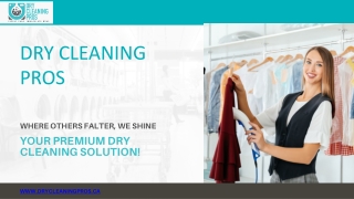 dry cleaning pros