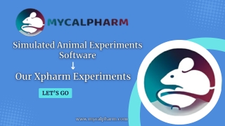 Animal Experiments