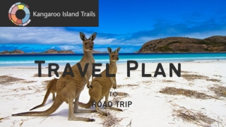 Why Kangaroo Island Is the Ultimate Road Trip Destination