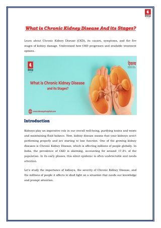 What Is Chronic Kidney Disease And Its Stages?