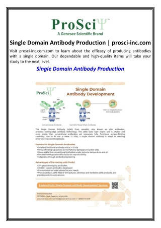 Single Domain Antibody Production  prosci-inc.com