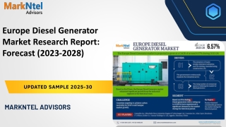 Europe Diesel Generator Market Research Report: Forecast (2023-2028)