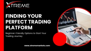 Best Day Trading Platform for Beginners: Top Picks for 2025
