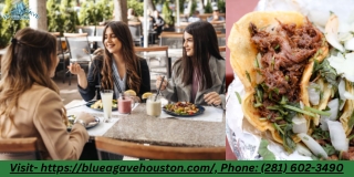 Discover the Best Taco Spots Across Houston Today– Blue Agave Cantina