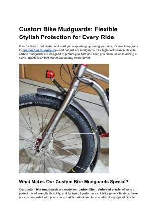 Custom Bike Mudguards