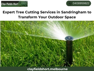 Expert Tree Cutting Services in Sandringham to Transform Your Outdoor Space