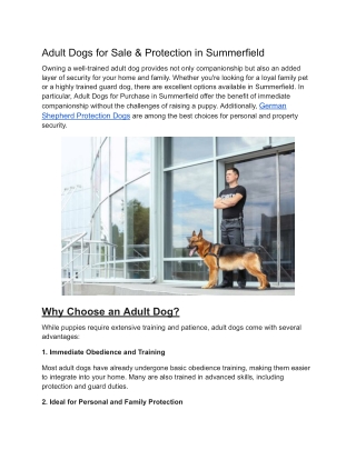 Adult Dogs for Sale  Protection in Summerfield