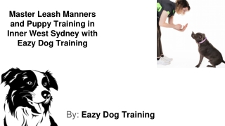 master leash manners and puppy training in inner west sydney with eazy dog training