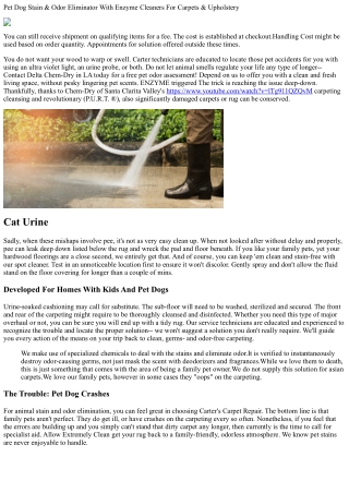 Pet Dog Stain And Odor Elimination Solutions