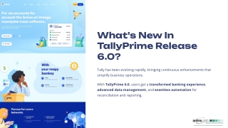 Whats-New-In-TallyPrime-Release-60 (1)