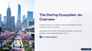 the startup ecosystem an overview