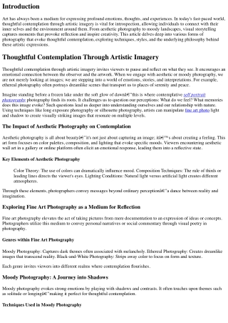 Thoughtful Contemplation Through Artistic Imagery