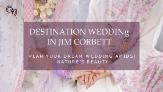 Unforgettable Destination Wedding Venues in Jim Corbett