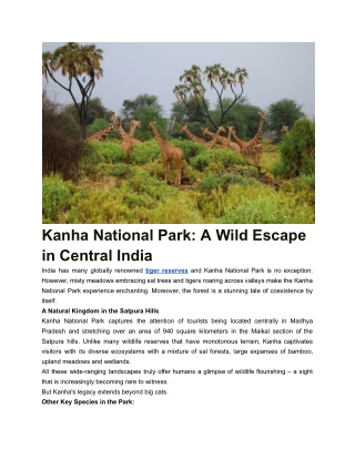 Kanha National Park- A Wild Escape in Central India