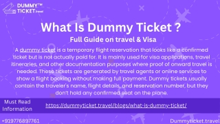 What Is Dummy Ticket PDF Detailed explanation