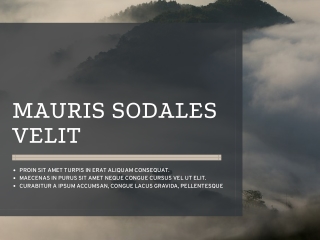 mauris sodales velit