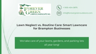 Lawn Neglect vs. Routine Care _ A Smart Lawncare for Businesses