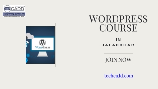 Best WordPress Course in Jalandhar, Punjab
