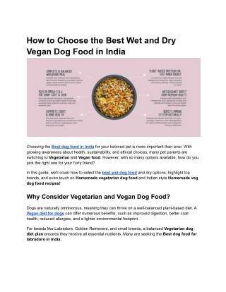How to Choose the Best Wet and Dry Vegan Dog Food in India