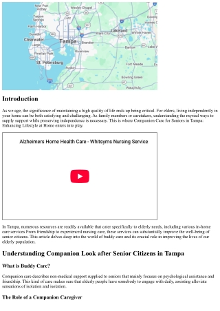 Companion Look After Seniors in Tampa: Enhancing Quality of Life in your home