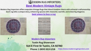 Best Modern Vintage Rugs
