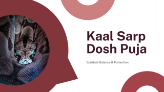 Kaal Sarp Dosh Puja  Spiritual Balance & Protection