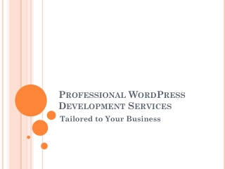 WordPress Development Services