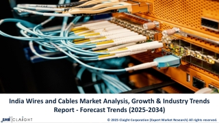 India Wires and Cables Market Outlook (2025–2034): Strong Growth